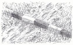 Grenzg�nger